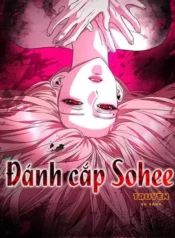 Bìa Đánh cắp Sohee