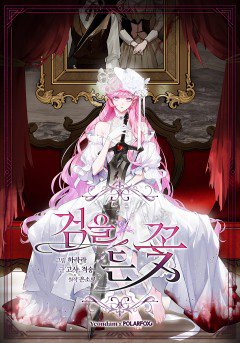 Bìa Hoa Gươm Kiếm